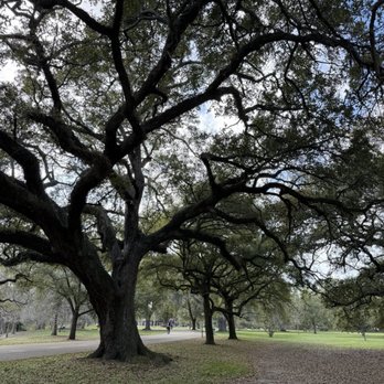 Audubon Park - Parks Near Me - New Orleans, Louisiana Audubon Park - Parks Near Me - New Orleans, Louisiana