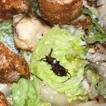 EATaliano Kitchen - Caesar Salad - Italian Near Me - Atlanta, Georgia