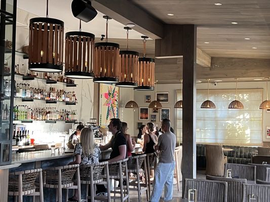 Paloma Venice by null