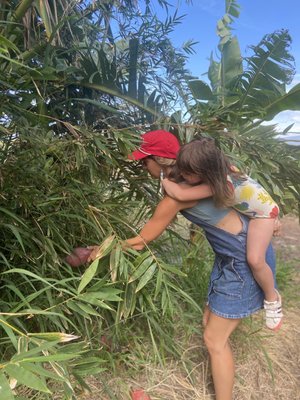 La Kahea Community Farm by null