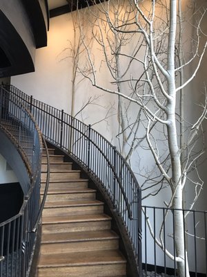 Cedar Creek Spa & Salon by null