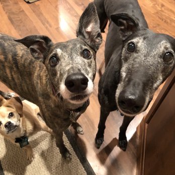 Doggieville Ranch - Pet Sitting Near Me - Redmond, Oregon