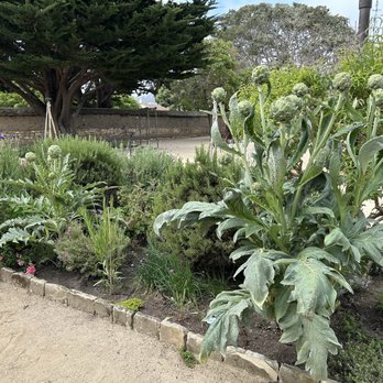 ALTA Bakery & Cafe - Cafes Near Me - Monterey, California ALTA Bakery & Cafe - Cafes Near Me - Monterey, California