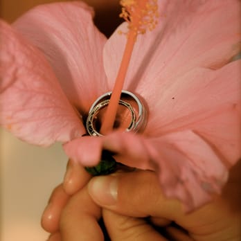 Weddings on the Beach - Wedding Planning Near Me Weddings on the Beach - Wedding Planning Near Me