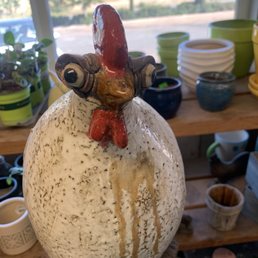 Angry chubby rooster... Wish I had a picture of the roses Angry chubby rooster... Wish I had a picture of the roses