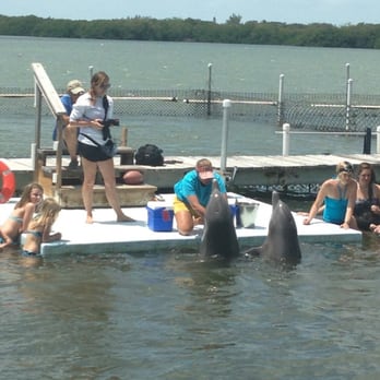 Dolphin Research Center - Nadia in the water with a couple of new friends! - Tours Near Me - Marathon, Florida Dolphin Research Center - Nadia in the water with a couple of new friends! - Tours Near Me - Marathon, Florida