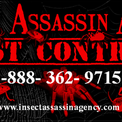 Insect Assassin Agency