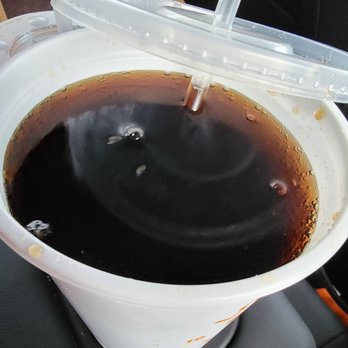Popeyes Louisiana Kitchen - No ice? In Florida in July? Send someone to the store. - Fast Food Near Me - Callahan, Florida Popeyes Louisiana Kitchen - No ice? In Florida in July? Send someone to the store. - Fast Food Near Me - Callahan, Florida