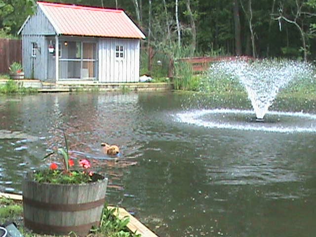 Pet Estates, Inc. - pet boarding facility in Melrose, NY