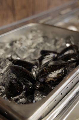 Shabu House 샤부하우스 l Hotpot l Shabu l AYCE by null