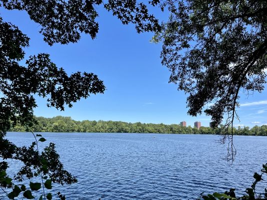 Fresh Pond by null