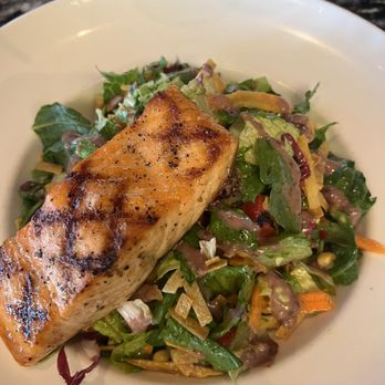 Doc B's Restaurant + Bar - Grilled Chicken Salad (switched the chicken out for Salmon) - Bars Near Me - Tampa, Florida