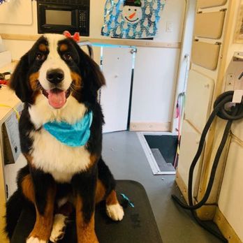 Grooming For Good - Pet Groomers Near Me