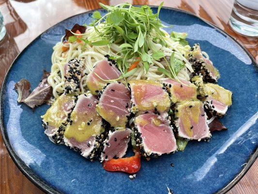 Coral Del Mar by null