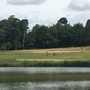 Photo of Ridge Golf Club