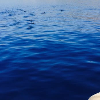 Harbor Breeze - Boat Charters Near Me - Long Beach, California
