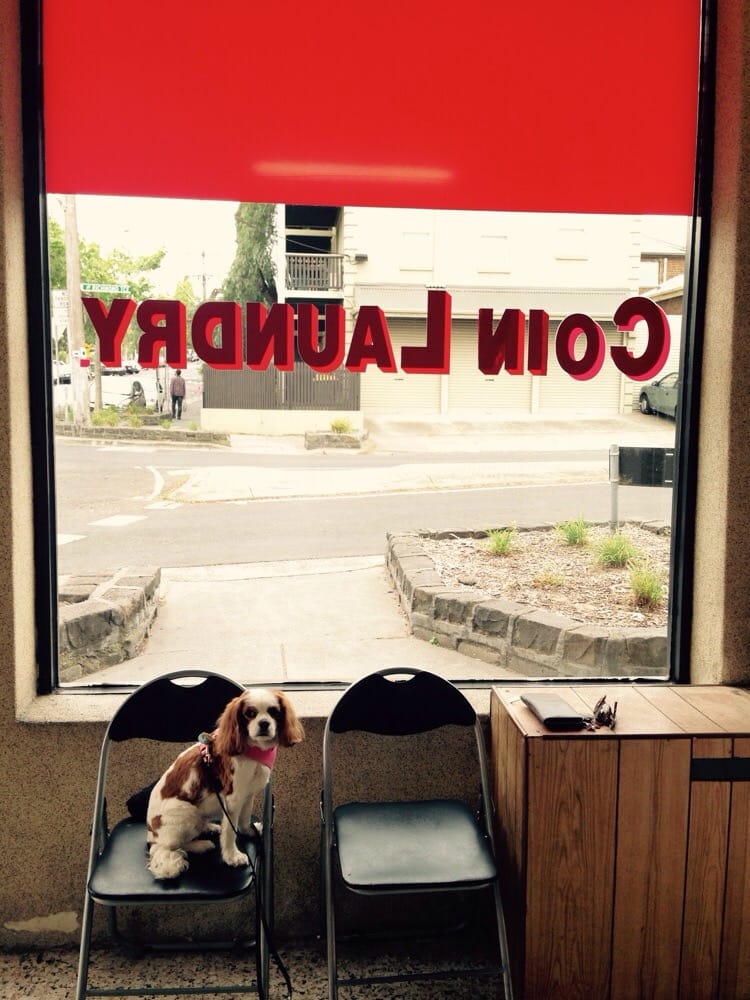 COIN LAUNDRY Updated July 2024 253 Lennox St, Carlton North