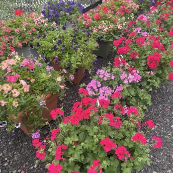 Brenckles Greenhouses - Nurseries & Gardening Near Me - Pittsburgh, Pennsylvania