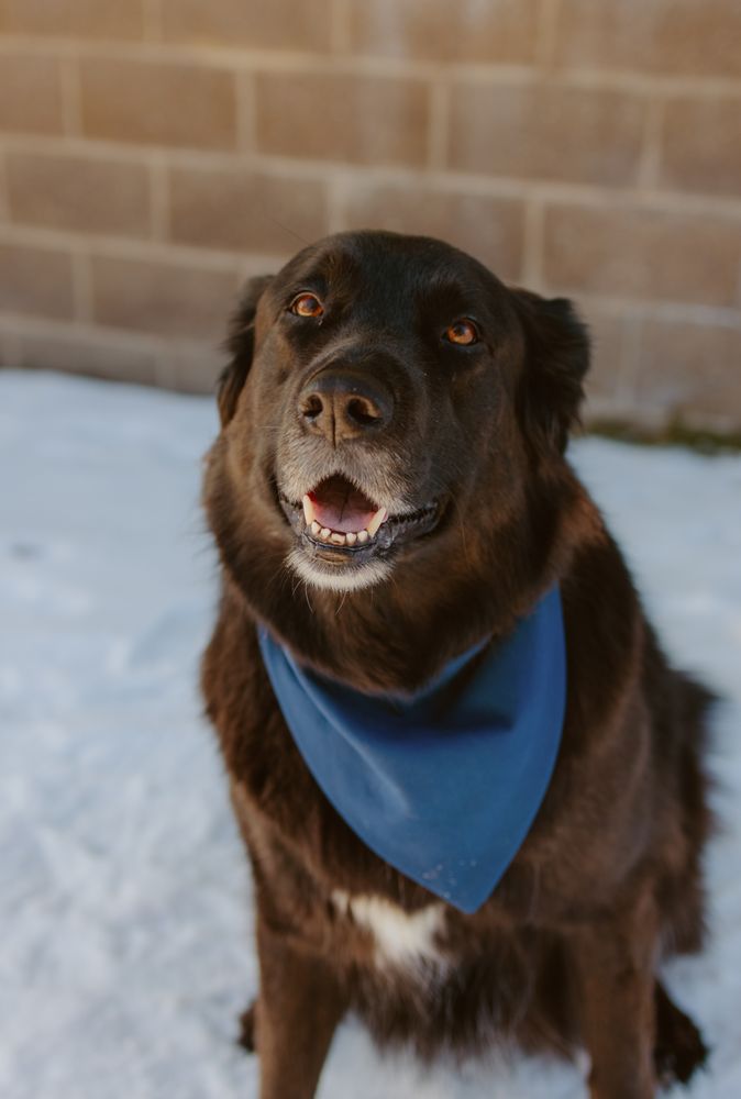 HOMER DENTAL CENTER Updated June 2024 4014 Lake St, Homer, Alaska Cosmetic Dentists