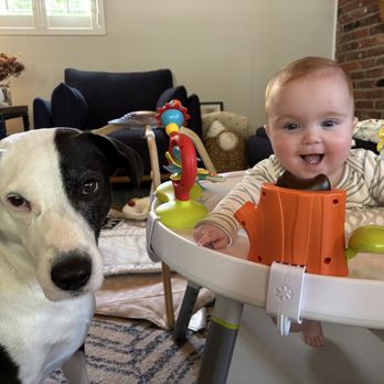 A Dog's Best Friend - Pet Training Near Me