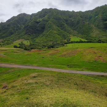 Kualoa Ranch - Tours Near Me - Kaneohe, Hawaii Kualoa Ranch - Tours Near Me - Kaneohe, Hawaii