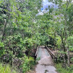 Alafia River Corridor Nature Preserve North