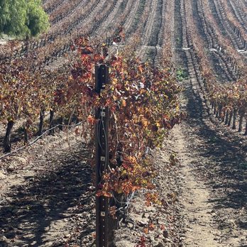 Grapeline Wine Tours - Wine tour. - Wine Tours Near Me - Temecula, California Grapeline Wine Tours - Wine tour. - Wine Tours Near Me - Temecula, California