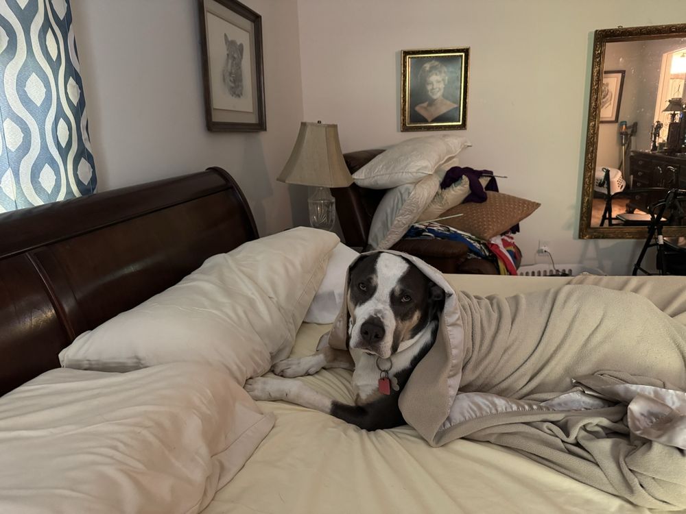 Echo Ranch Retreat - pet boarding facility in Asheville, NC