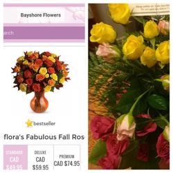 Bayshore Flowers - What I ordered vs what I got.. So worth $70 dollars right? Your business ethics are terrible, Bayshore Flowers.