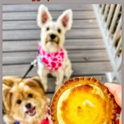 Sunmerry Bakery - IG @FoodandPooch