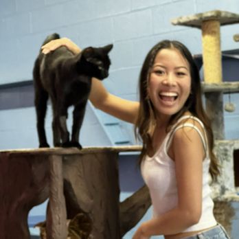 Cat Cafe Rescue - Pet Adoption Near Me - Chino Hills, California Cat Cafe Rescue - Pet Adoption Near Me - Chino Hills, California