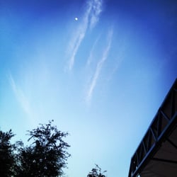 Free Yoga at Bayfront Park - Savasana's view.