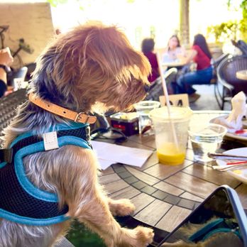Cafe Demetrio - Outdoor patio - Coffee & Tea Near Me - Coral Gables, Florida