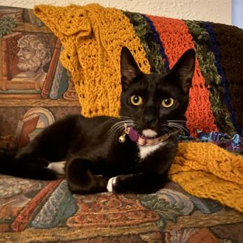 PEGGY ADAMS ANIMAL RESCUE LEAGUE - Updated 05/2025 - 95 Photos & 163