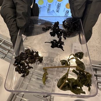 Chicha San Chen - The 3 types of leaves from our roasts: #1 dawn (greenest/most caffeine)  #3daylight #4 dusk (darkest/smokey flavored) - Bubble Tea Near Me - Cupertino, California