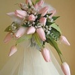 Buds To Blooms