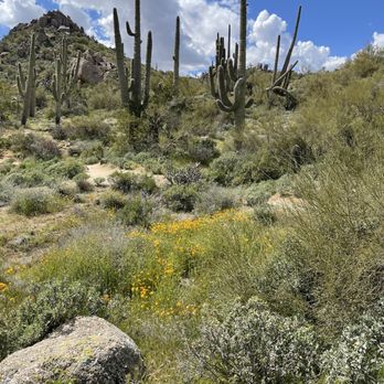 Granite Mountain Trailhead - Hiking Near Me - Scottsdale, Arizona
