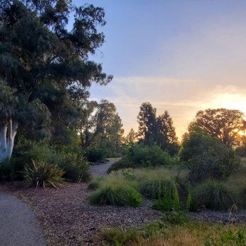 Kite Hill - Water-Wise Garden nearby - Parks Near Me - Palo Alto, California Kite Hill - Water-Wise Garden nearby - Parks Near Me - Palo Alto, California