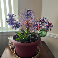 Panama Internal Medicine Associates - And they always have the cutest plants