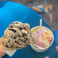 Daniela's Ice Cream - Coffee Oreo and Rainbow Sorbet