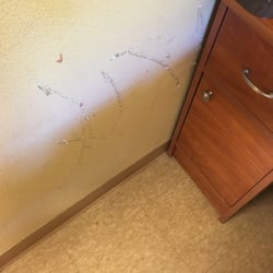 La Hacienda Rehabilitation & Health Care Center - The walls