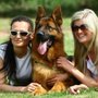 Photo of Dawn Hoppe K9