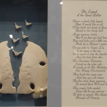 The Shell Cellar - The story of the Sand Dollar - Souvenir Shops Near Me - San Francisco, California The Shell Cellar - The story of the Sand Dollar - Souvenir Shops Near Me - San Francisco, California