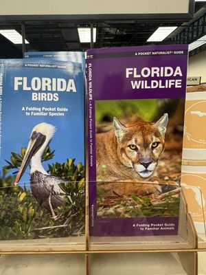 Books-A-Million by null