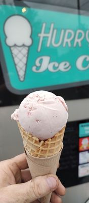 Hurry Back Ice Cream by null