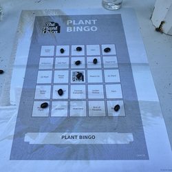 I won bingo