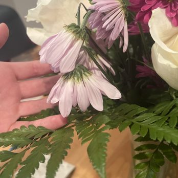 Floral Concepts - Florists Near Me - Addison, Texas
