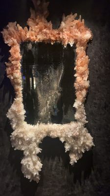 The Mandrake by null