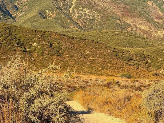 North Etiwanda Preserve by null