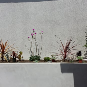 GB Landscaping - Succulent garden - Landscaping Near Me